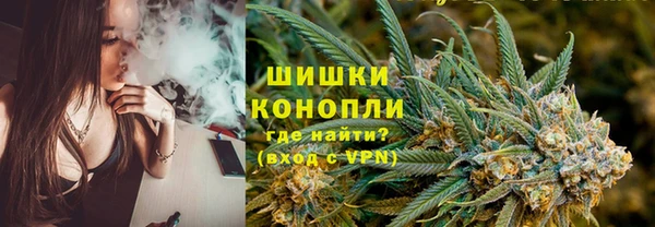 ПСИЛОЦИБИНОВЫЕ ГРИБЫ Алзамай