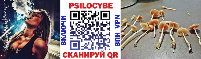 Псилоцибиновые грибы Psilocybine cubensis MEGA как войти Будённовск